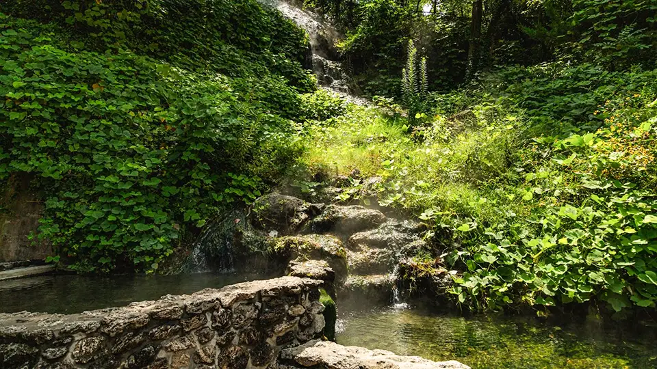 Want to take a soak? Or have a drink of ancient water? Learn about the various ways that you can experience the thermal springs in the Park.